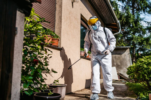 Best Pest Control Near Me in Pecan Acres, TX
