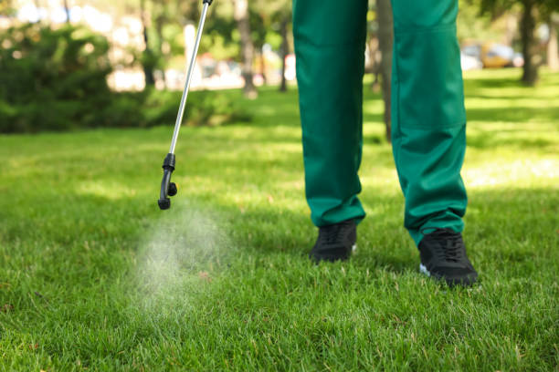 Best Pest Removal Services  in Pecan Acres, TX