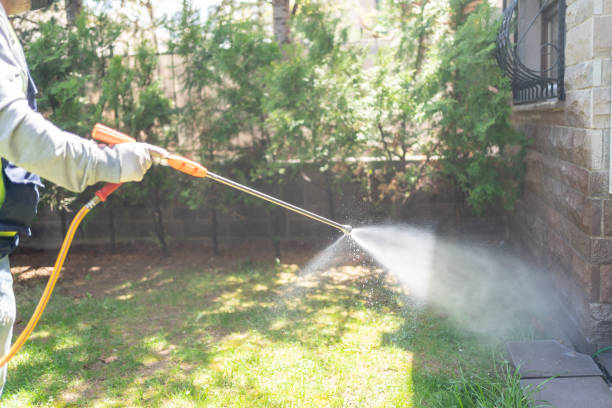 Best Best Pest Control Companies  in Pecan Acres, TX
