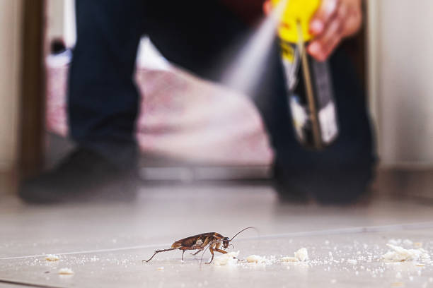 Best Best Pest Control Companies  in Pecan Acres, TX
